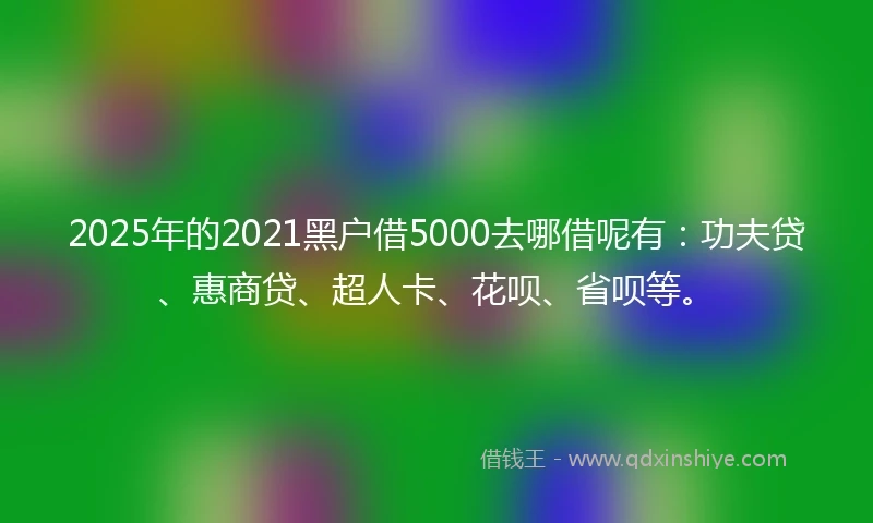 2025年的2021黑户借5000去哪借呢有：功夫贷、惠商贷、超人卡、花呗、省呗等。