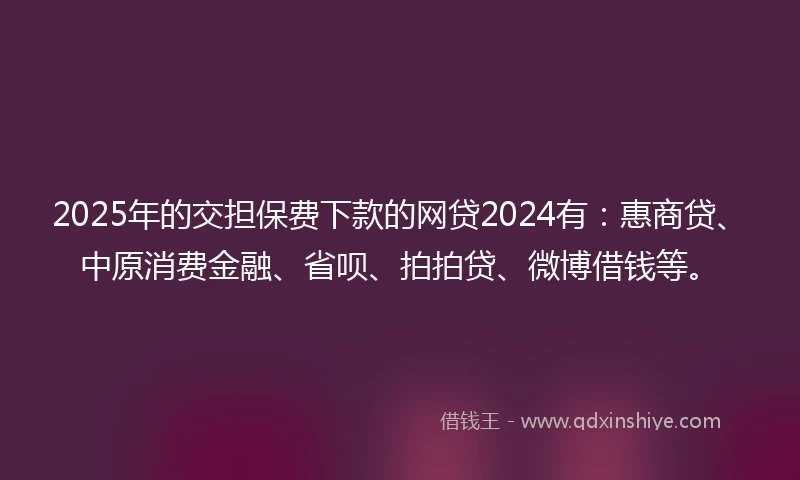 2025年的交担保费下款的网贷2024有：惠商贷、中原消费金融、省呗、拍拍贷、微博借钱等。