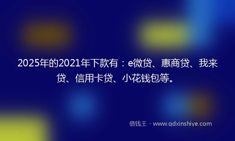 2025年的2021年下款有：e微贷、惠商贷、我来贷、信用卡贷、小花钱包等。
