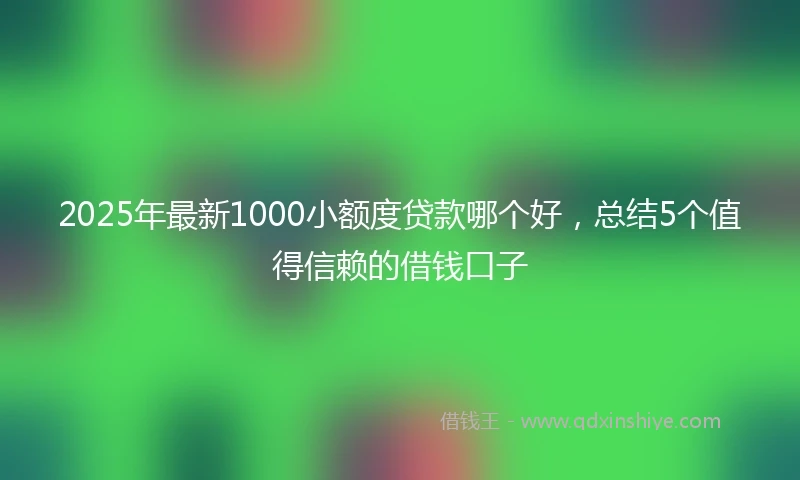 2025年最新1000小额度贷款哪个好，总结5个值得信赖的借钱口子
