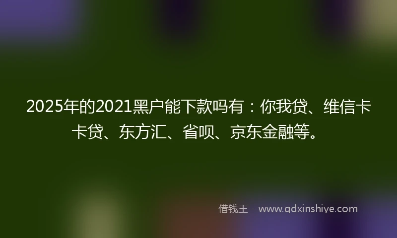 2025年的2021黑户能下款吗有：你我贷、维信卡卡贷、东方汇、省呗、京东金融等。