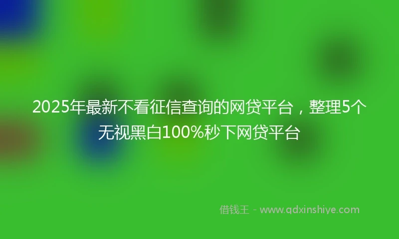 2025年最新不看征信查询的网贷平台，整理5个无视黑白100%秒下网贷平台