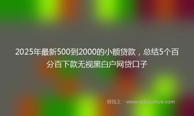 2025年最新500到2000的小额贷款，总结5个百分百下款无视黑白户网贷口子