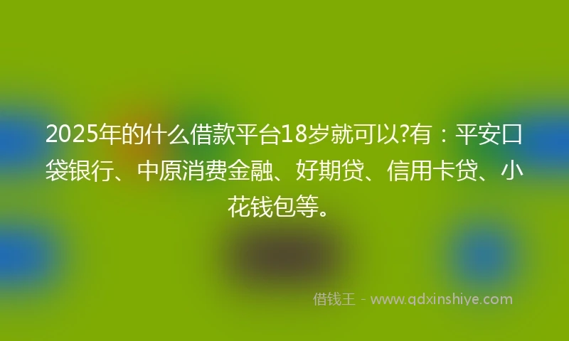 2025年的什么借款平台18岁就可以?有：平安口袋银行、中原消费金融、好期贷、信用卡贷、小花钱包等。