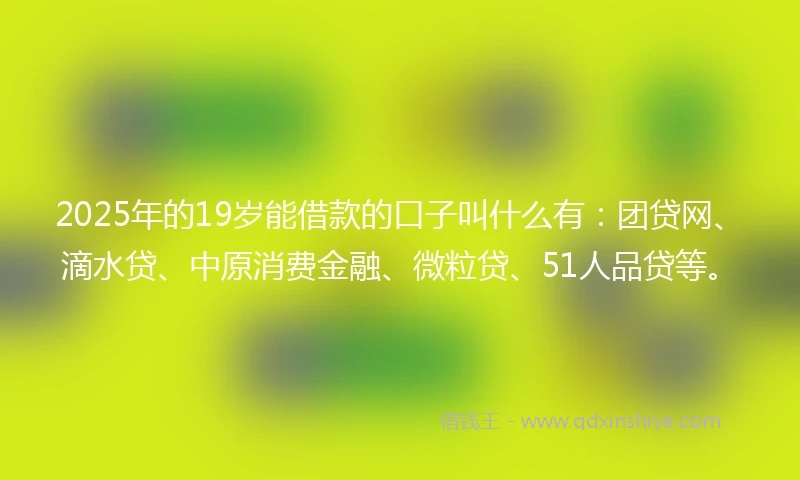 2025年的19岁能借款的口子叫什么有：团贷网、滴水贷、中原消费金融、微粒贷、51人品贷等。