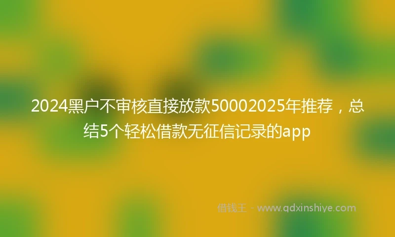 2024黑户不审核直接放款50002025年推荐，总结5个轻松借款无征信记录的app