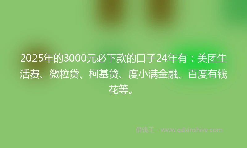 2025年的3000元必下款的口子24年有：美团生活费、微粒贷、柯基贷、度小满金融、百度有钱花等。