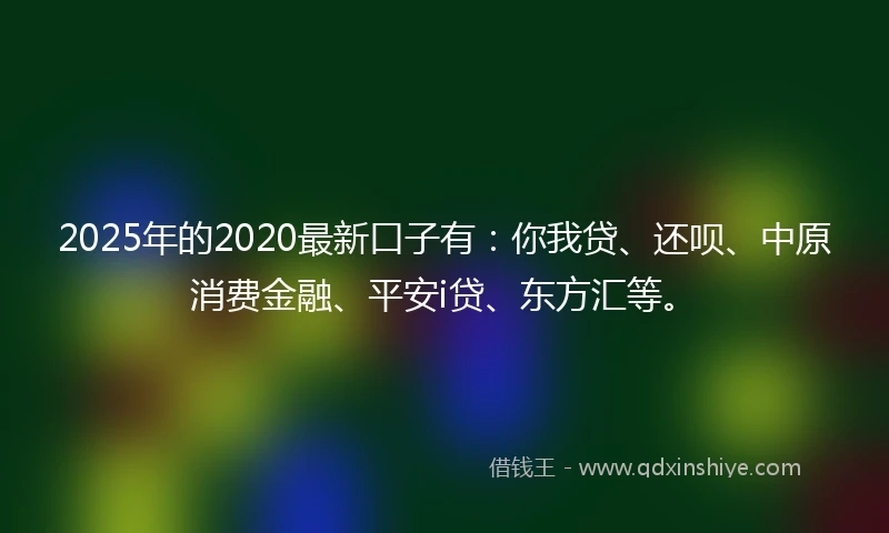 2025年的2020最新口子有：你我贷、还呗、中原消费金融、平安i贷、东方汇等。