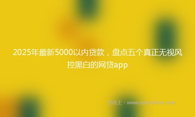 2025年最新5000以内贷款，盘点五个真正无视风控黑白的网贷app