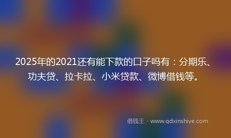 2025年的2021还有能下款的口子吗有：分期乐、功夫贷、拉卡拉、小米贷款、微博借钱等。