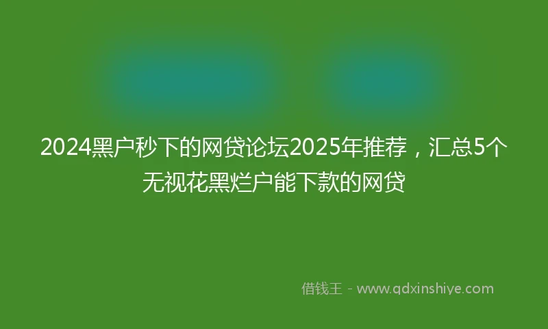 2024黑户秒下的网贷论坛2025年推荐，汇总5个无视花黑烂户能下款的网贷
