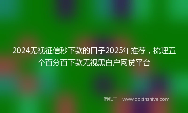2024无视征信秒下款的口子2025年推荐，梳理五个百分百下款无视黑白户网贷平台