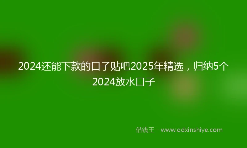 2024还能下款的口子贴吧2025年精选，归纳5个2024放水口子