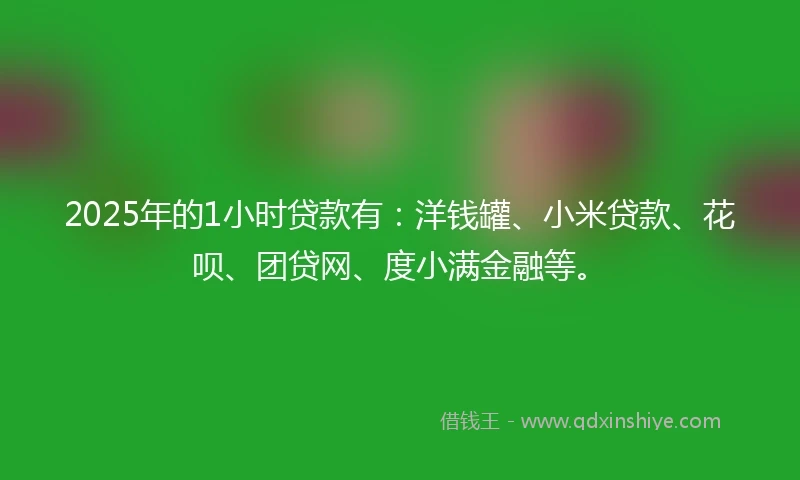 2025年的1小时贷款有：洋钱罐、小米贷款、花呗、团贷网、度小满金融等。