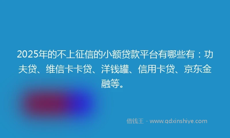 2025年的不上征信的小额贷款平台有哪些有：功夫贷、维信卡卡贷、洋钱罐、信用卡贷、京东金融等。