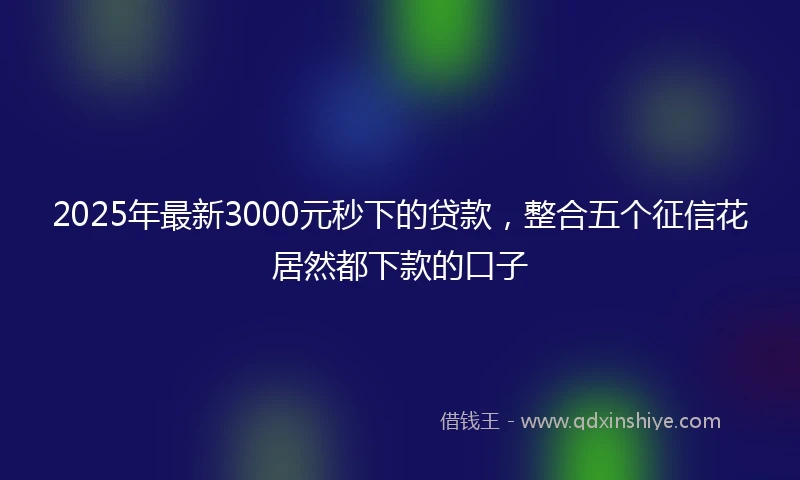 2025年最新3000元秒下的贷款，整合五个征信花居然都下款的口子