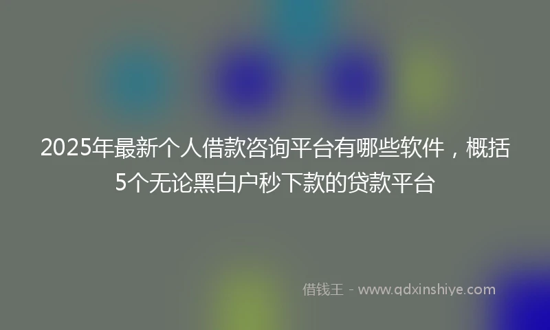 2025年最新个人借款咨询平台有哪些软件，概括5个无论黑白户秒下款的贷款平台