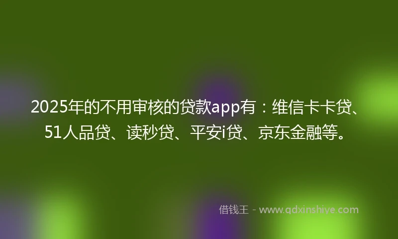 2025年的不用审核的贷款app有：维信卡卡贷、51人品贷、读秒贷、平安i贷、京东金融等。