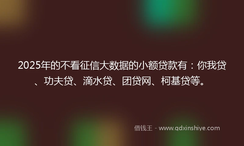 2025年的不看征信大数据的小额贷款有：你我贷、功夫贷、滴水贷、团贷网、柯基贷等。