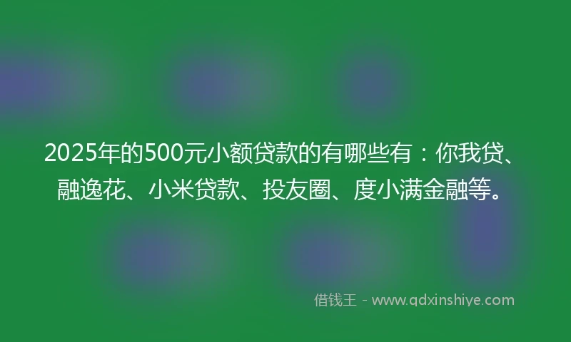 2025年的500元小额贷款的有哪些有：你我贷、融逸花、小米贷款、投友圈、度小满金融等。