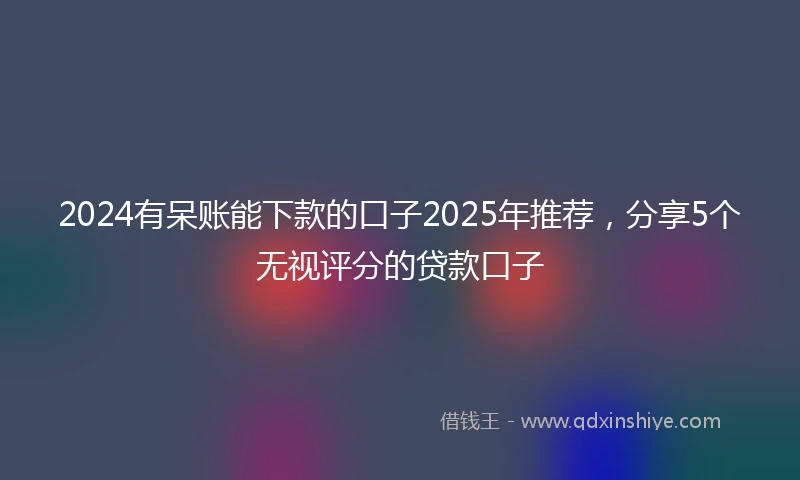 2024有呆账能下款的口子2025年推荐，分享5个无视评分的贷款口子