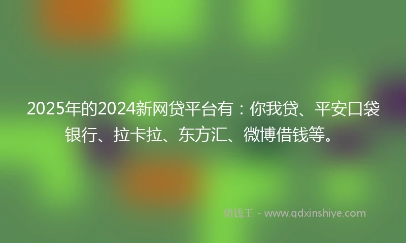 2025年的2024新网贷平台有：你我贷、平安口袋银行、拉卡拉、东方汇、微博借钱等。
