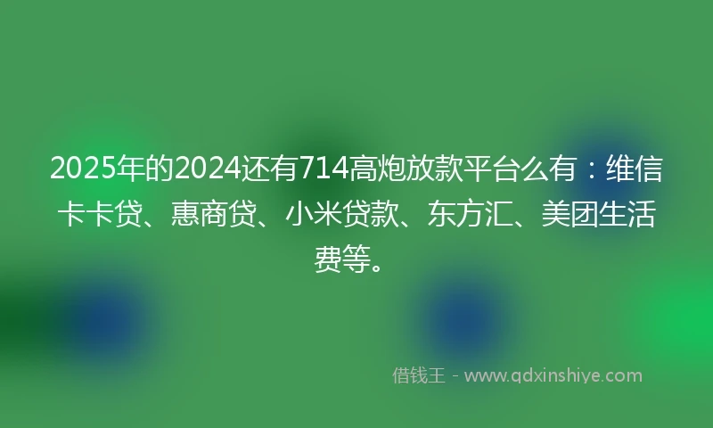 2025年的2024还有714高炮放款平台么有：维信卡卡贷、惠商贷、小米贷款、东方汇、美团生活费等。