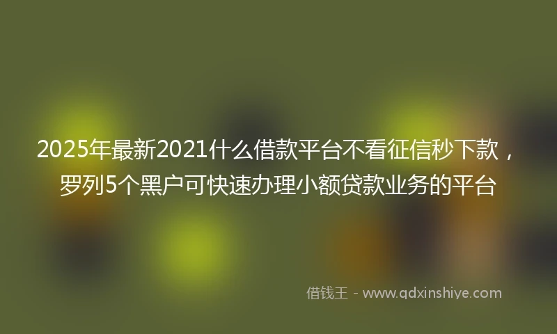 2025年最新2021什么借款平台不看征信秒下款，罗列5个黑户可快速办理小额贷款业务的平台