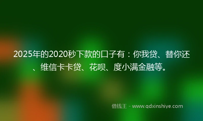 2025年的2020秒下款的口子有：你我贷、替你还、维信卡卡贷、花呗、度小满金融等。