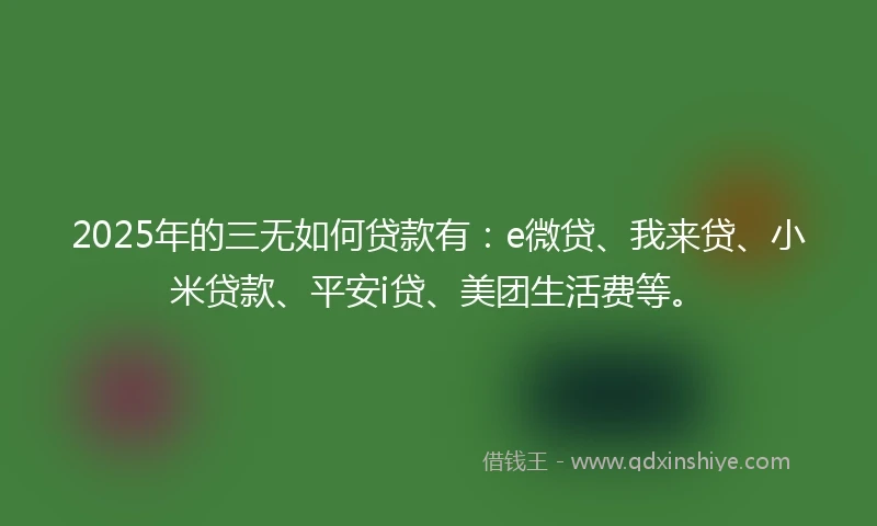 2025年的三无如何贷款有：e微贷、我来贷、小米贷款、平安i贷、美团生活费等。