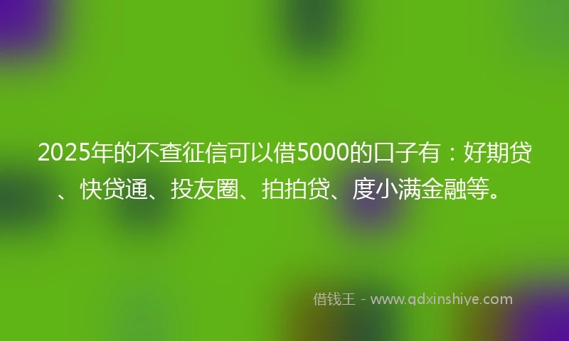 2025年的不查征信可以借5000的口子有：好期贷、快贷通、投友圈、拍拍贷、度小满金融等。