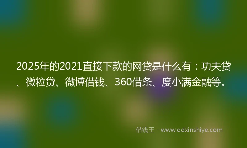 2025年的2021直接下款的网贷是什么有：功夫贷、微粒贷、微博借钱、360借条、度小满金融等。