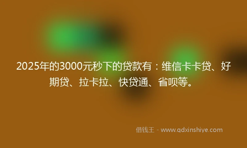 2025年的3000元秒下的贷款有：维信卡卡贷、好期贷、拉卡拉、快贷通、省呗等。