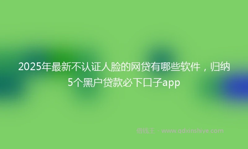 2025年最新不认证人脸的网贷有哪些软件，归纳5个黑户贷款必下口子app