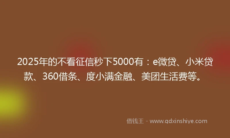 2025年的不看征信秒下5000有：e微贷、小米贷款、360借条、度小满金融、美团生活费等。