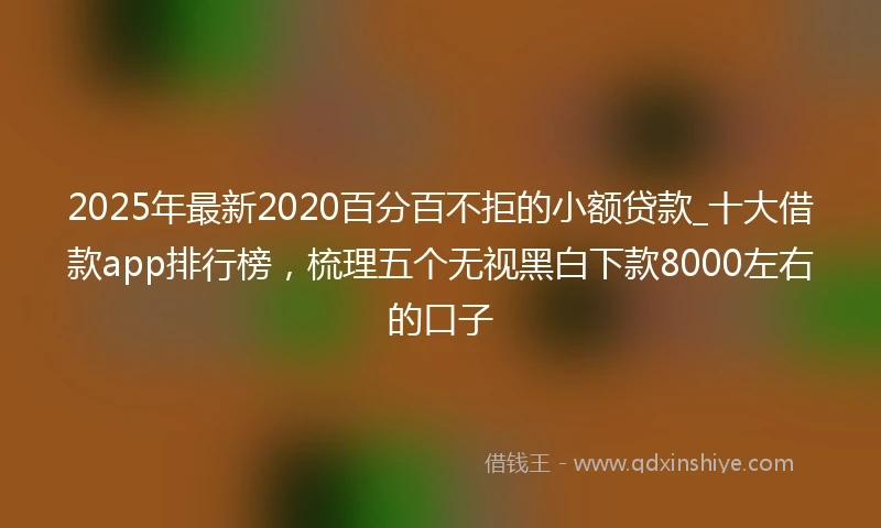 2025年最新2020百分百不拒的小额贷款_十大借款app排行榜，梳理五个无视黑白下款8000左右的口子
