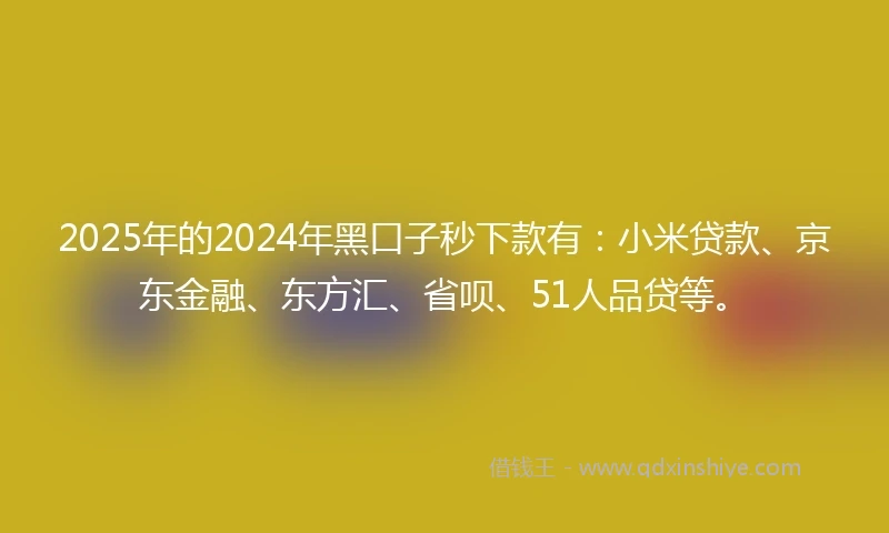 2025年的2024年黑口子秒下款有：小米贷款、京东金融、东方汇、省呗、51人品贷等。