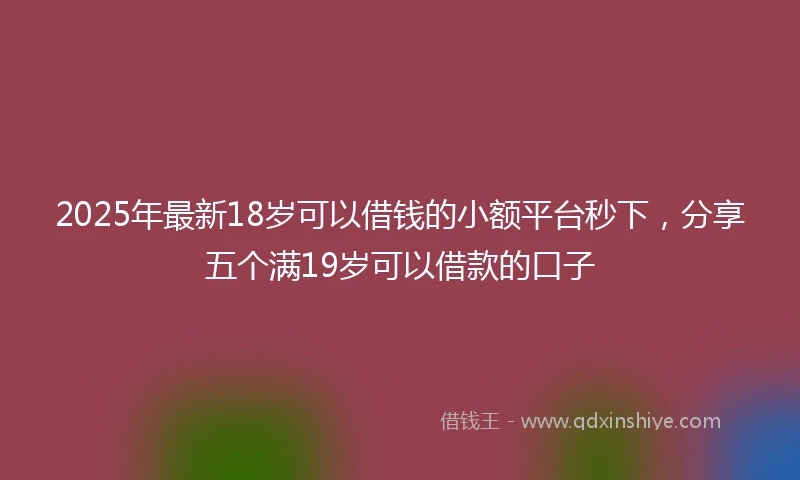 2025年最新18岁可以借钱的小额平台秒下，分享五个满19岁可以借款的口子