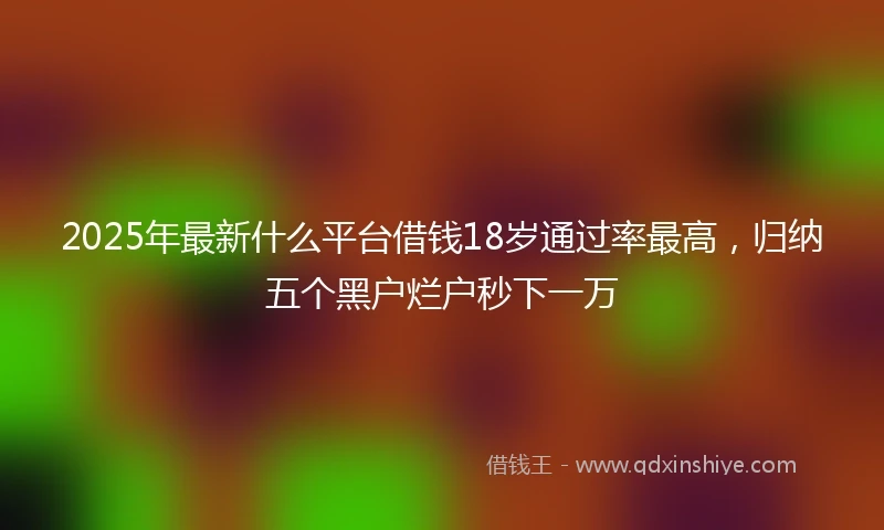 2025年最新什么平台借钱18岁通过率最高，归纳五个黑户烂户秒下一万