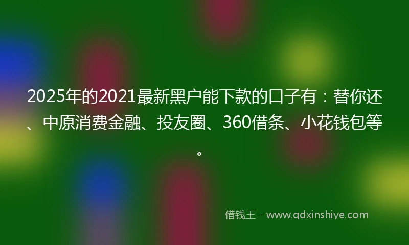 2025年的2021最新黑户能下款的口子有：替你还、中原消费金融、投友圈、360借条、小花钱包等。
