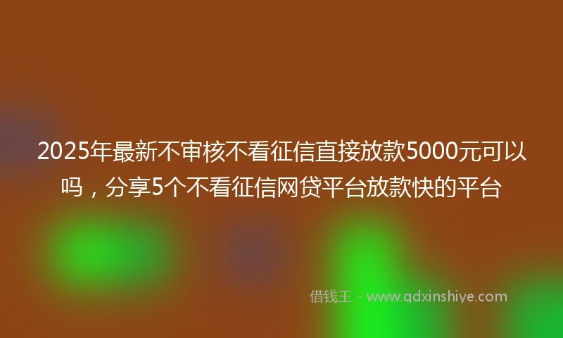 2025年最新不审核不看征信直接放款5000元可以吗，分享5个不看征信网贷平台放款快的平台