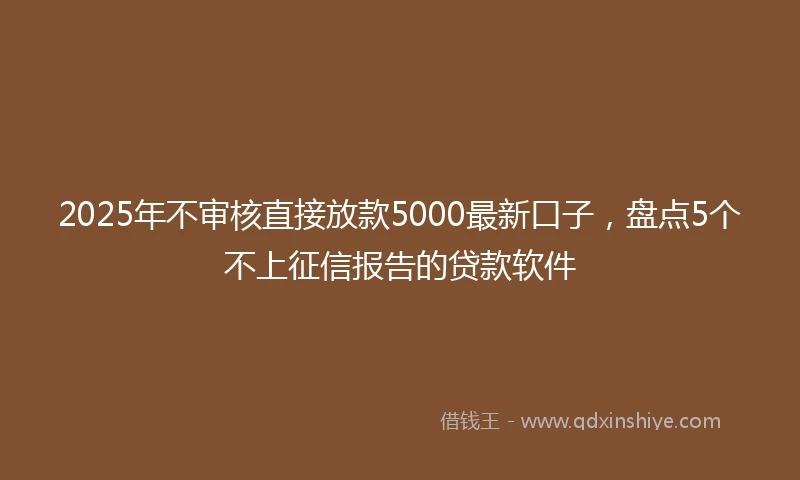 2025年不审核直接放款5000最新口子，盘点5个不上征信报告的贷款软件