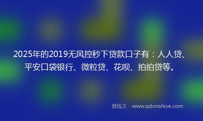 2025年的2019无风控秒下贷款口子有：人人贷、平安口袋银行、微粒贷、花呗、拍拍贷等。