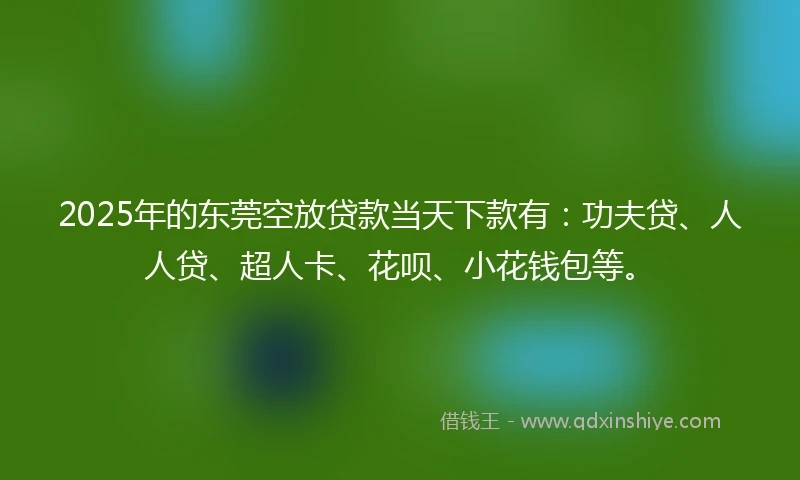2025年的东莞空放贷款当天下款有：功夫贷、人人贷、超人卡、花呗、小花钱包等。