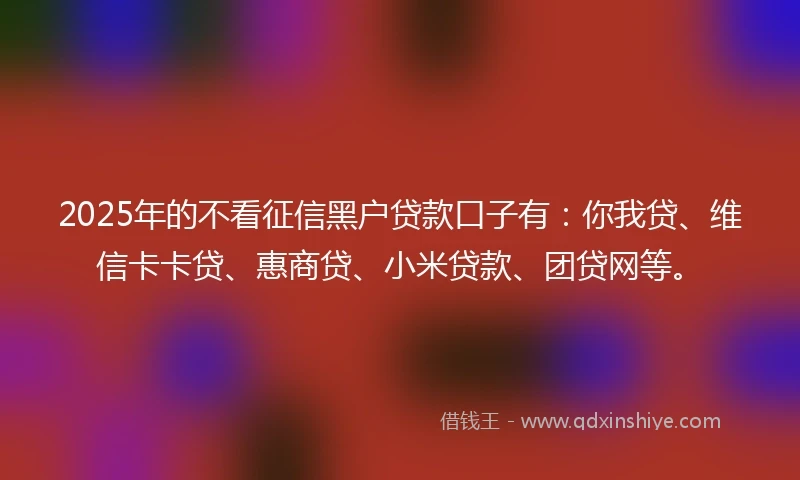 2025年的不看征信黑户贷款口子有：你我贷、维信卡卡贷、惠商贷、小米贷款、团贷网等。