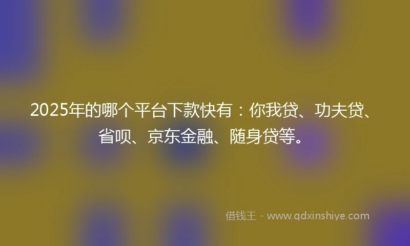 2025年的哪个平台下款快有：你我贷、功夫贷、省呗、京东金融、随身贷等。