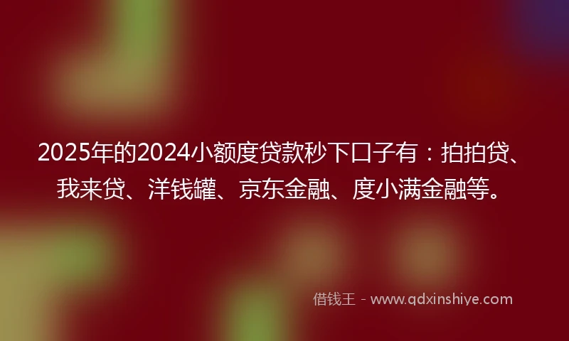2025年的2024小额度贷款秒下口子有：拍拍贷、我来贷、洋钱罐、京东金融、度小满金融等。