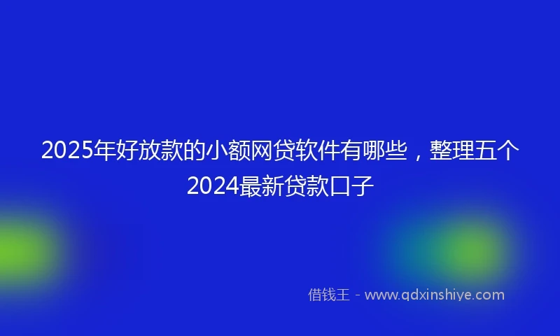 2025年好放款的小额网贷软件有哪些，整理五个2024最新贷款口子