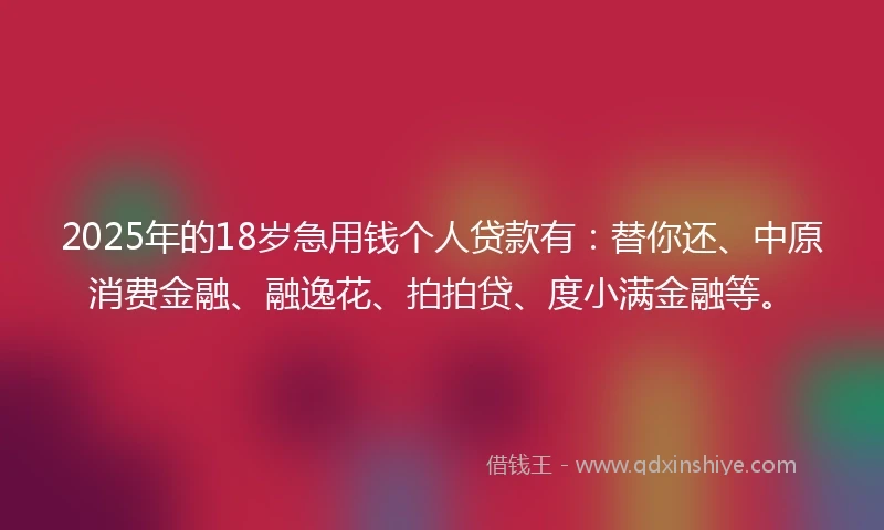 2025年的18岁急用钱个人贷款有：替你还、中原消费金融、融逸花、拍拍贷、度小满金融等。