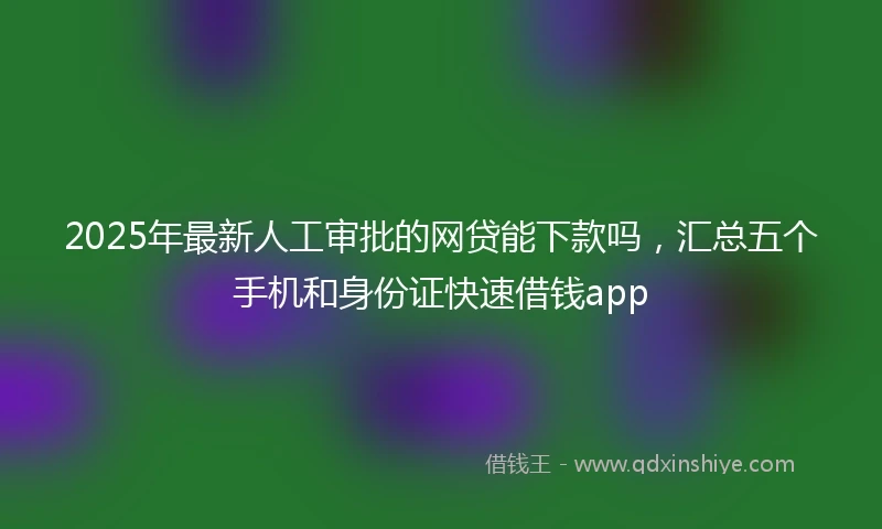2025年最新人工审批的网贷能下款吗，汇总五个手机和身份证快速借钱app